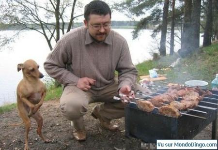 bon barbecue